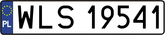 WLS19541
