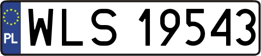 WLS19543