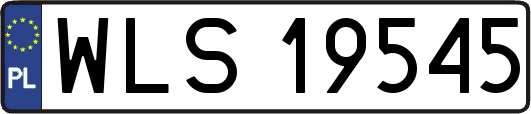 WLS19545