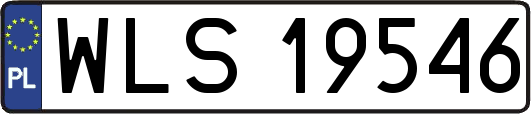 WLS19546