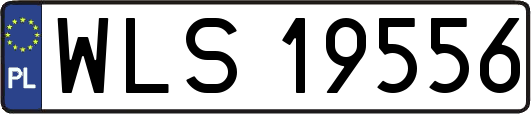 WLS19556