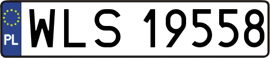 WLS19558