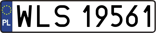 WLS19561