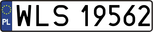 WLS19562
