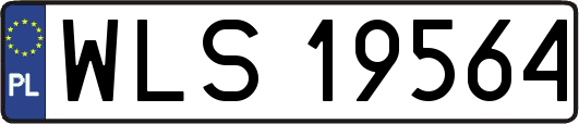WLS19564