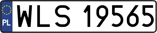 WLS19565