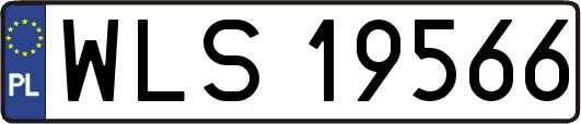 WLS19566