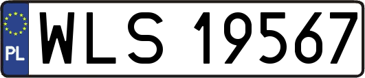 WLS19567
