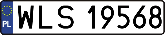 WLS19568