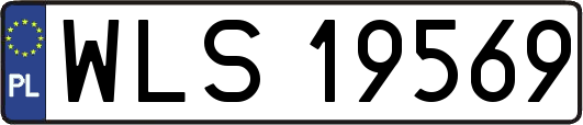 WLS19569