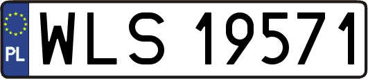 WLS19571