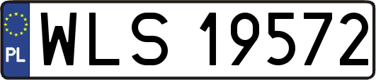 WLS19572