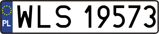 WLS19573