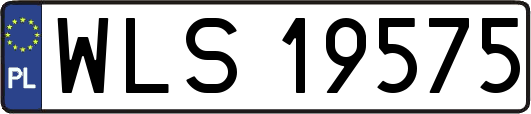 WLS19575