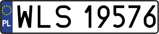 WLS19576