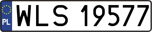 WLS19577