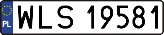 WLS19581
