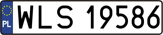 WLS19586