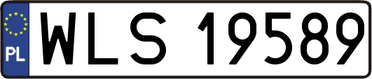WLS19589
