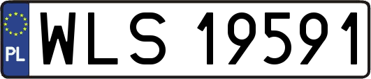 WLS19591