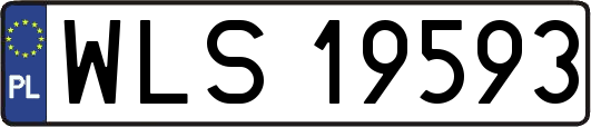 WLS19593