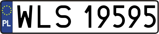 WLS19595
