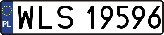 WLS19596