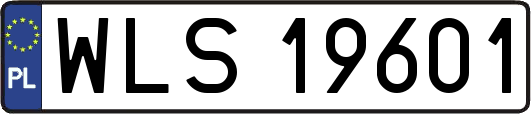 WLS19601