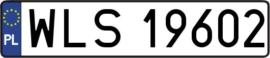 WLS19602