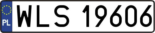 WLS19606