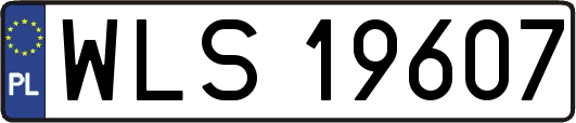 WLS19607