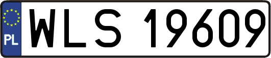 WLS19609