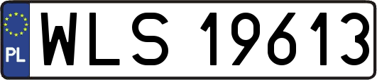 WLS19613