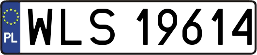 WLS19614