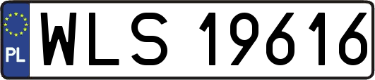 WLS19616