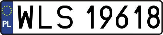 WLS19618