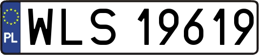 WLS19619