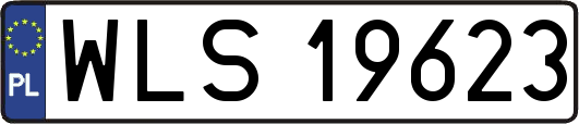 WLS19623