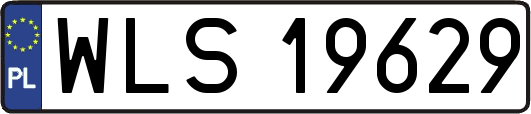 WLS19629
