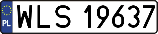 WLS19637