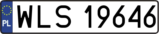 WLS19646