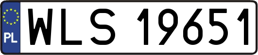 WLS19651