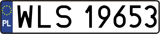 WLS19653