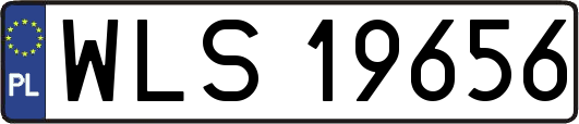 WLS19656
