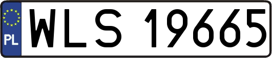 WLS19665