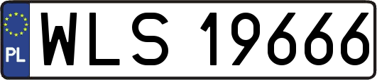 WLS19666