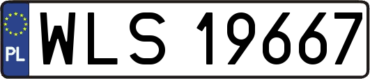 WLS19667
