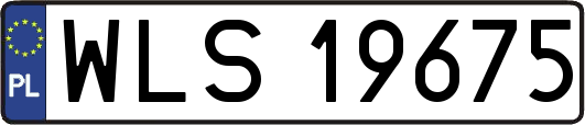 WLS19675