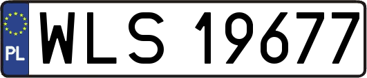 WLS19677