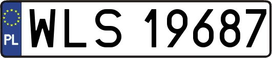 WLS19687
